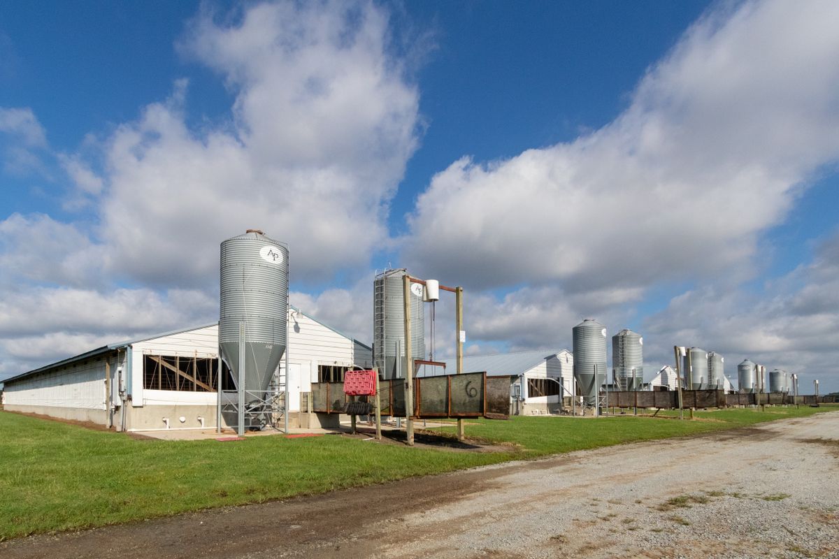 Stallanlage mit Futtersilos unter freiem Himmel
